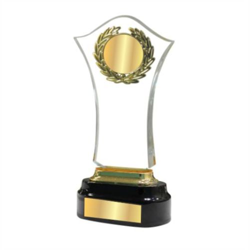 Crown Acrylic Trophy