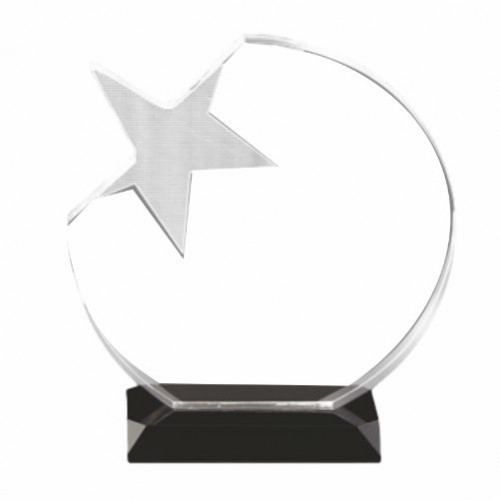 Frosted Star Acrylic Trophy 