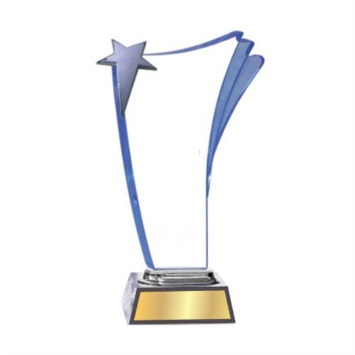 Glittering Star Acrylic Trophy