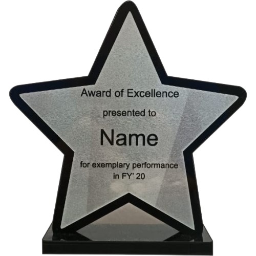 Affordable Star Award Trophy