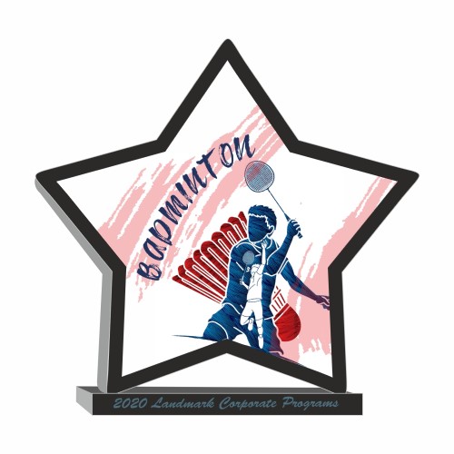 Budget Badminton Award