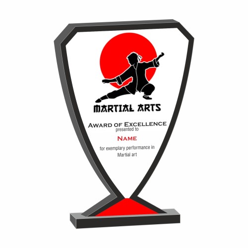 Budget Martial Arts Trophy