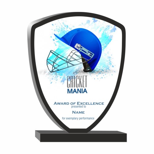Custom Cricket Award