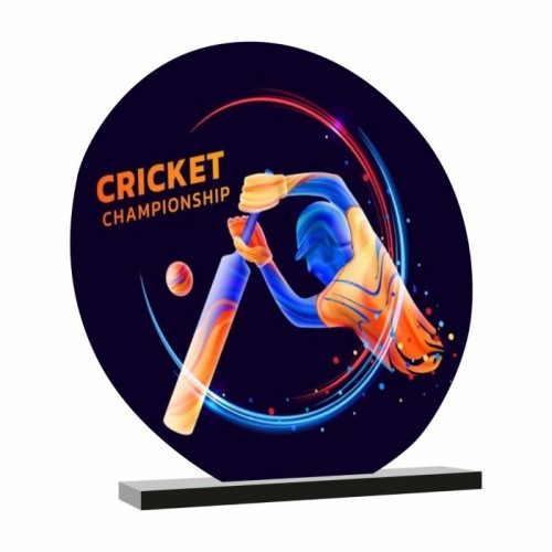 Budget Cricket Trophy