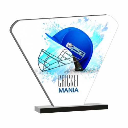 Custom Cricket Budget Trophy