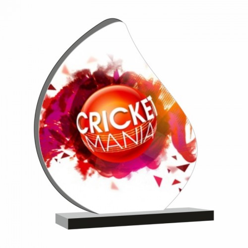 Economical Custom Cricket Trophy