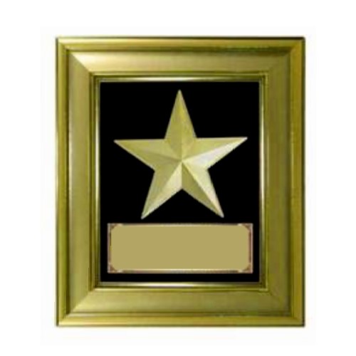 Big Star Certificate Frame