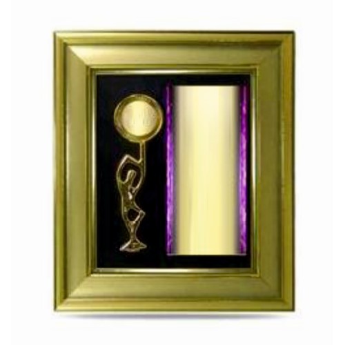 Golden Frame Award Memento 