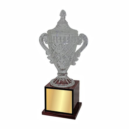 Winner Cup Crystal Trophy 