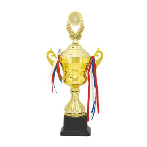 Attractive Cup Trophy 