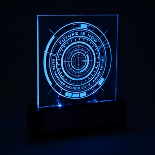 Personalized LED Trophy