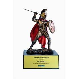 Spartan Theme Warrior Award