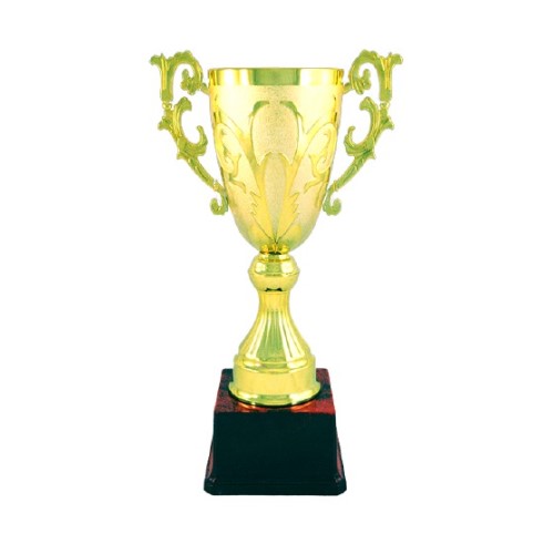Acute Cup Fiber Trophy 