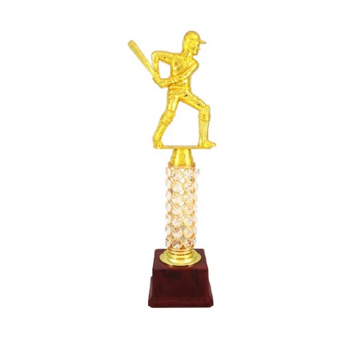 Best Batsman Coronet Fiber Trophy 