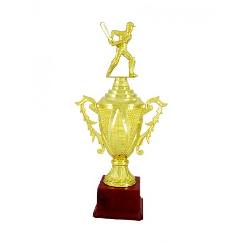 Best Batsman Fiber Trophy Cup 