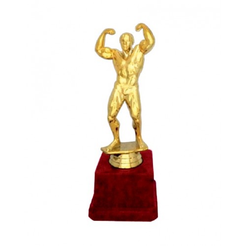 Best Bodybuilder Fiber Trophy 