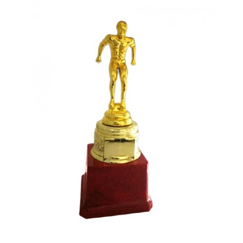Best Swimmer Fiber Trophy 