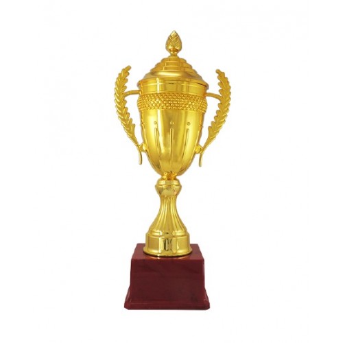 Brawny Fiber Cup Trophy 