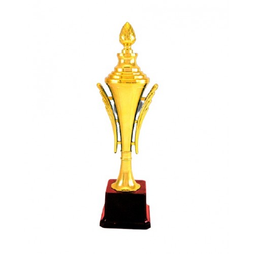 Cone Sports Fiber Trophy 