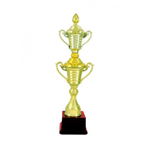 Duplex Cup Fiber Trophy 