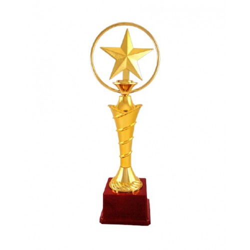 Enclosed Star Fiber Trophy 