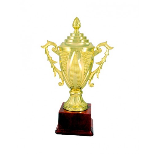 Fiber Cup Trophy 