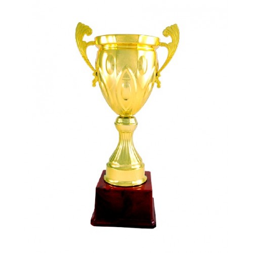 Fiber Sports Cup Trophy 