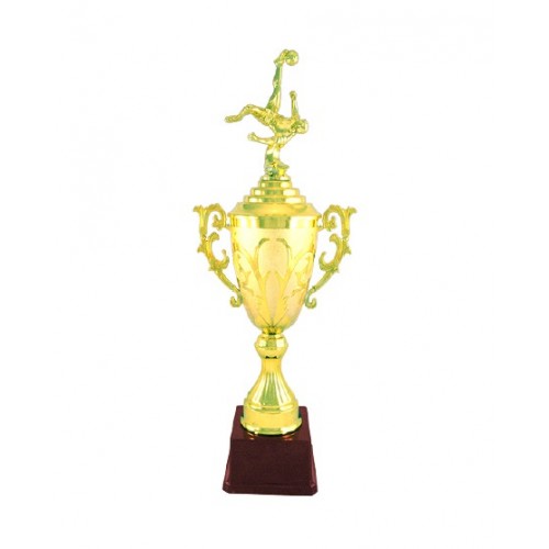 Footballer Fiber Trophy 