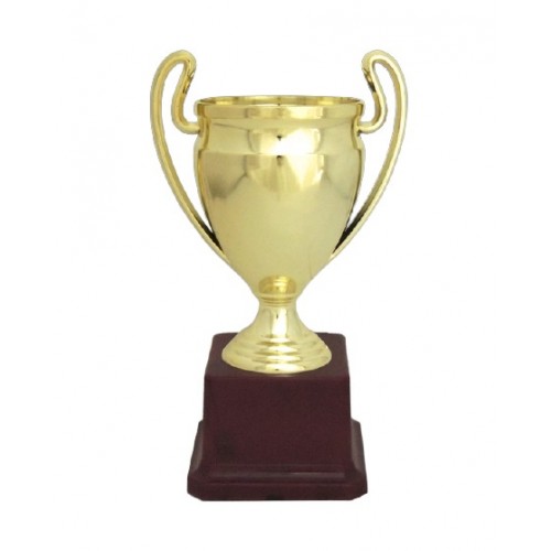 Gothic Fiber Cup Trophy 