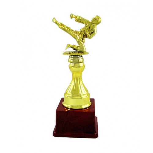 Karate Fiber Trophy 