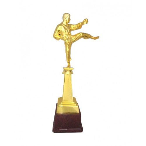 Karate Fibre Trophy 