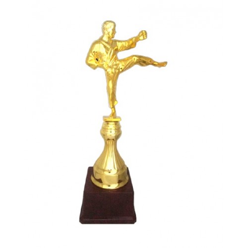 Martial Arts Karate Plastic Trophy 