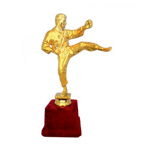 Martial Arts Karate Fiber Trophy 