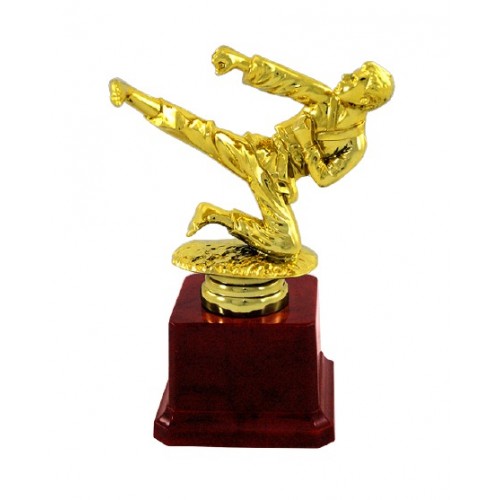 Mini Karate Fiber Trophy 