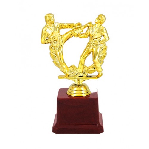 Mini Karate Kick Fiber Trophy 