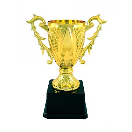 Open Cup Fiber Trophy 
