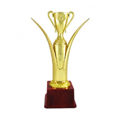 Super Cup Fiber Trophy 