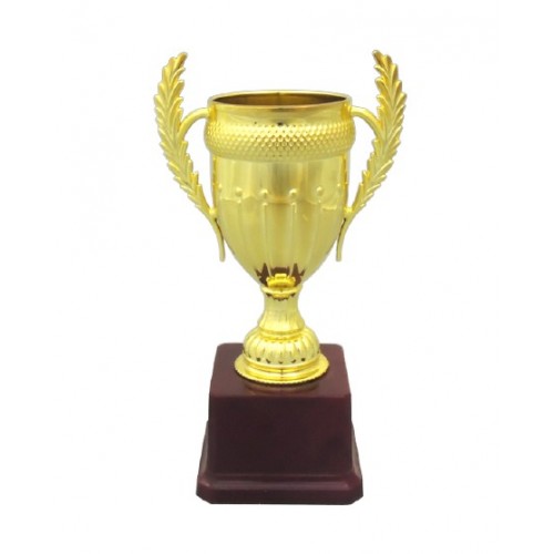 Winners Fiber Cup Trophy 