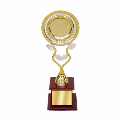 Academic Metal Trophy 