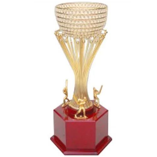 Astounding Cricket Metal Trophy 
