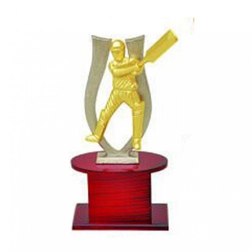 Best Batsman Metal Trophy 