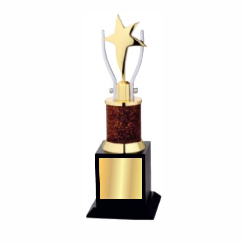 Choice Star Metal Trophy 