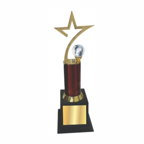 Distinct Star Metal Trophy 