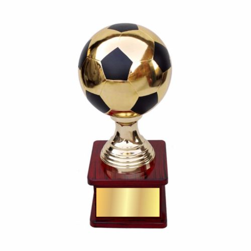 Golden Football Metal Trophy 