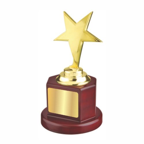 New Ace Star Metal Trophy 