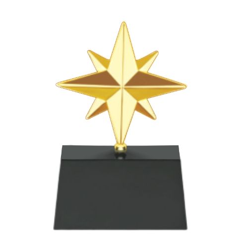 Ninja Star Metal Trophy 