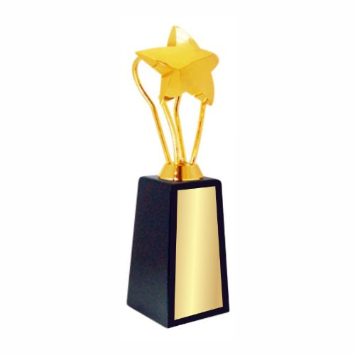 No.1 Star Metal Trophy 