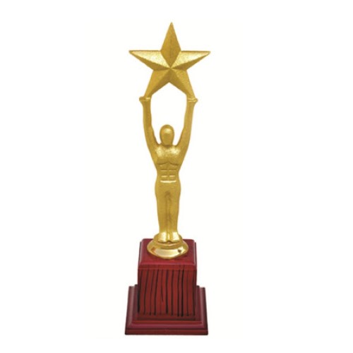 Statuette Star Metal Trophy 