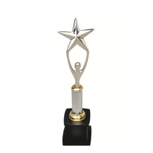 Sterling Star Metal Trophy 