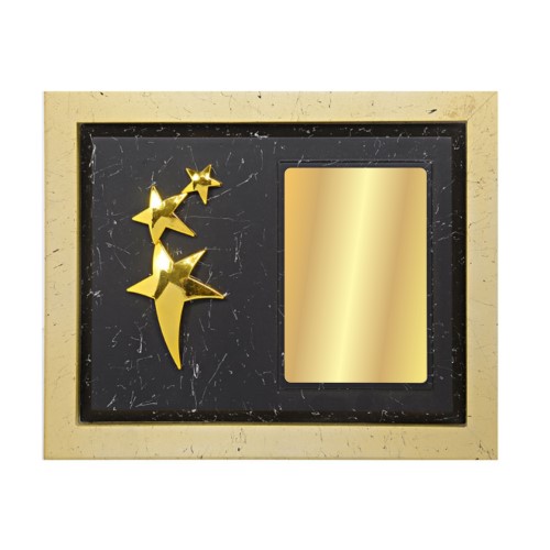 Black and Gold Wooden Plaque Award with Star 